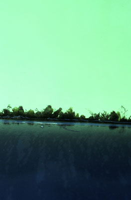 photographies argentiques<br>édition de 5<br>50 x 70 cm<br>2003, 2004.