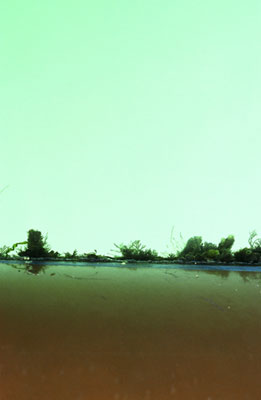 photographies argentiques<br>édition de 5<br>50 x 70 cm<br>2003, 2004.