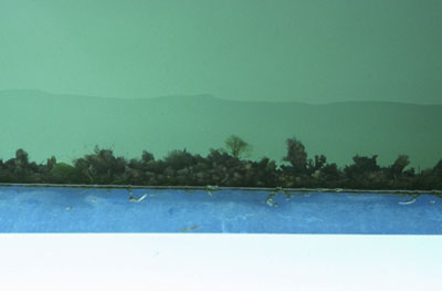 photographies argentiques<br>édition de 5<br>70 x 50 cm<br>2003, 2004.