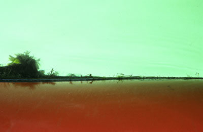 photographies argentiques<br>édition de 5<br>70 x 50 cm<br>2003, 2004.