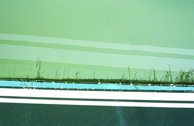 photographies argentiques<br>édition de 5<br>70 x 50 cm<br>2003, 2004.