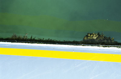 photographies argentiques<br>édition de 5<br>70 x 50 cm<br>2003, 2004.