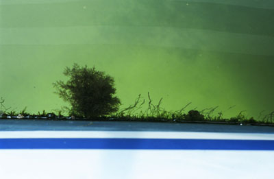 photographies argentiques<br>édition de 5<br>70 x 50 cm<br>2003, 2004.