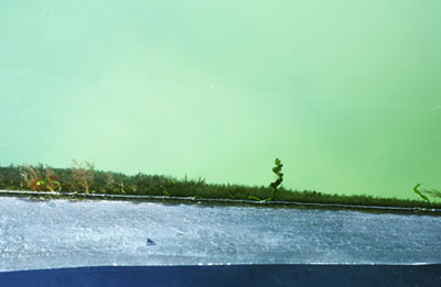 photographies argentiques<br>édition de 5<br>70 x 50 cm<br>2003, 2004.