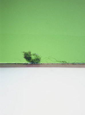 photographies argentiques<br>édition de 3<br>50 x 70 cm<br>2005-2008.