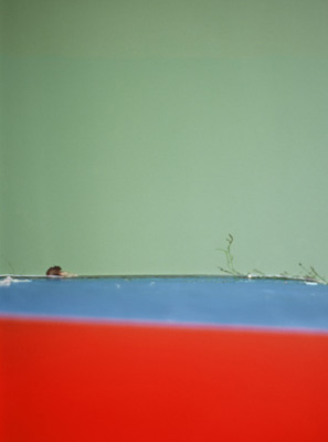 photographies argentiques<br>édition de 3<br>50 x 70 cm<br>2005-2008.