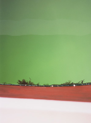 photographies argentiques<br>édition de 3<br>50 x 70 cm<br>2005-2008.