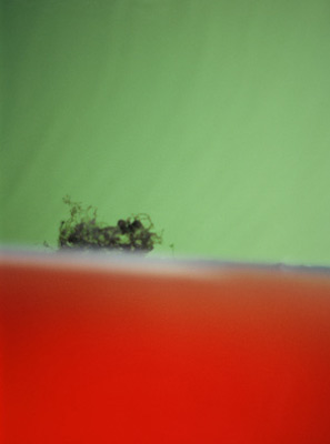 photographies argentiques<br>édition de 3<br>50 x 70 cm<br>2005-2008.