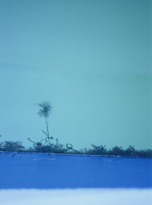 photographies argentiques<br>édition de 3<br>50 x 70 cm<br>2005-2008.