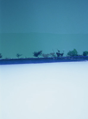 photographies argentiques<br>édition de 3<br>50 x 70 cm<br>2005-2008.