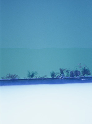 photographies argentiques<br>édition de 3<br>50 x 70 cm<br>2005-2008.