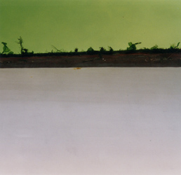 photographies argentiques<br>édition de 5<br>50,5 x 50,5 cm<br>2001, 2002.