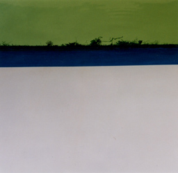 photographies argentiques<br>édition de 5<br>50,5 x 50,5 cm<br>2001, 2002.