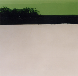 photographies argentiques<br>édition de 5<br>50,5 x 50,5 cm<br>2001, 2002.