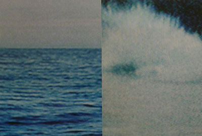 photographies numériques<br>édition de 3<br>40 x 27 cm<br>2004.