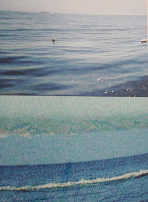 photographies numériques<br>édition de 3<br>30 x 40 cm<br>2004.