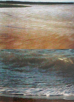 photographies numériques<br>édition de 3<br>30 x 40 cm<br>2004.